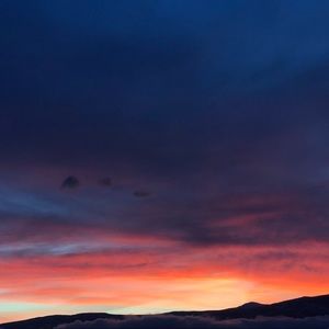 Meet your Posher, Rianna